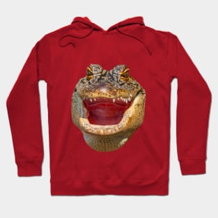 Gator face Hoodie